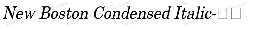 New Boston Condensed Italic字体转换
